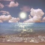 Simón Gallardo avatar